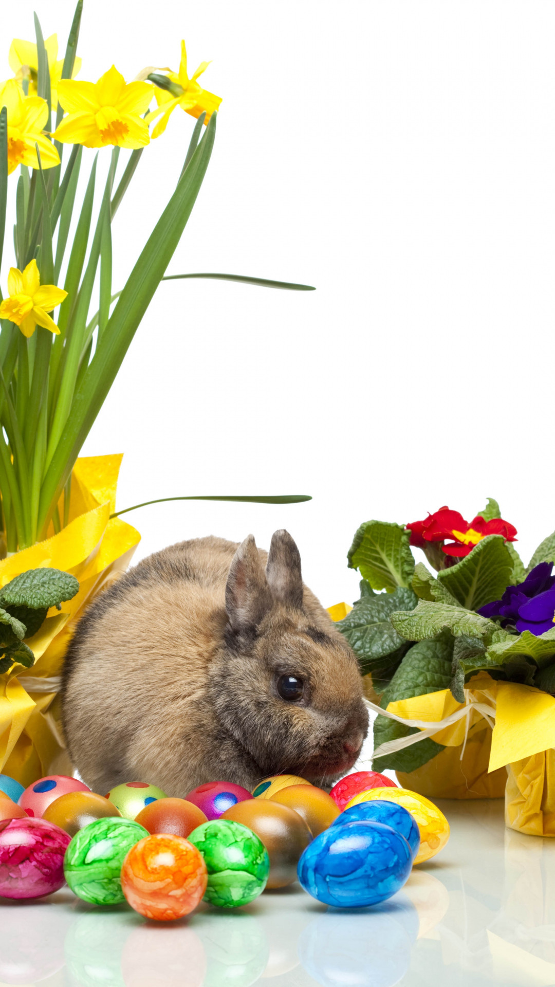 1080x1920 Wallpaper easter, bunny, eggs, violets, daffodils, white  background 1080x1920