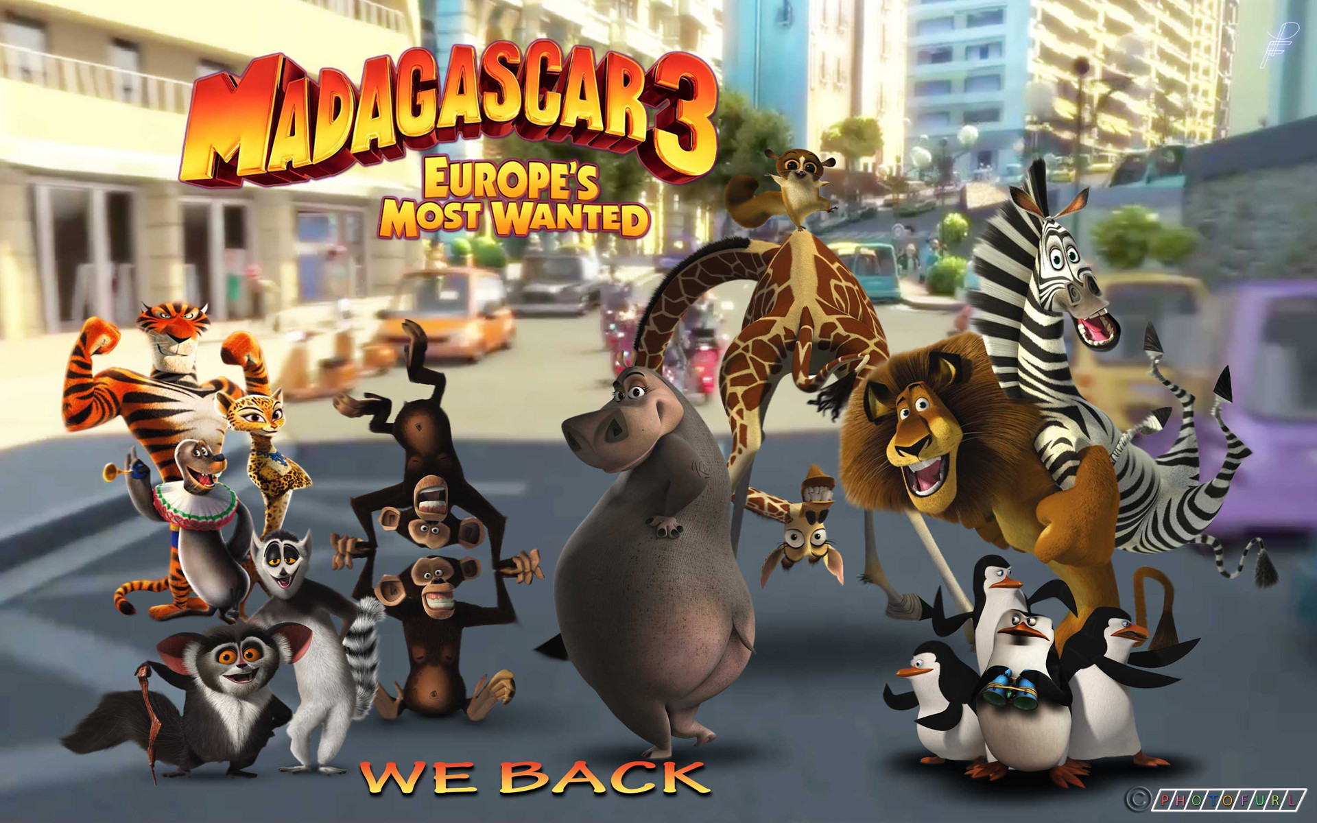Мадагаскар карт 3. Мадагаскар 3 герои мультфильма.