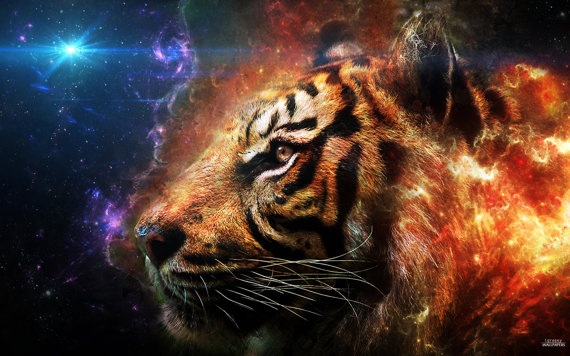 Cool Tiger Backgrounds (63+ pictures)