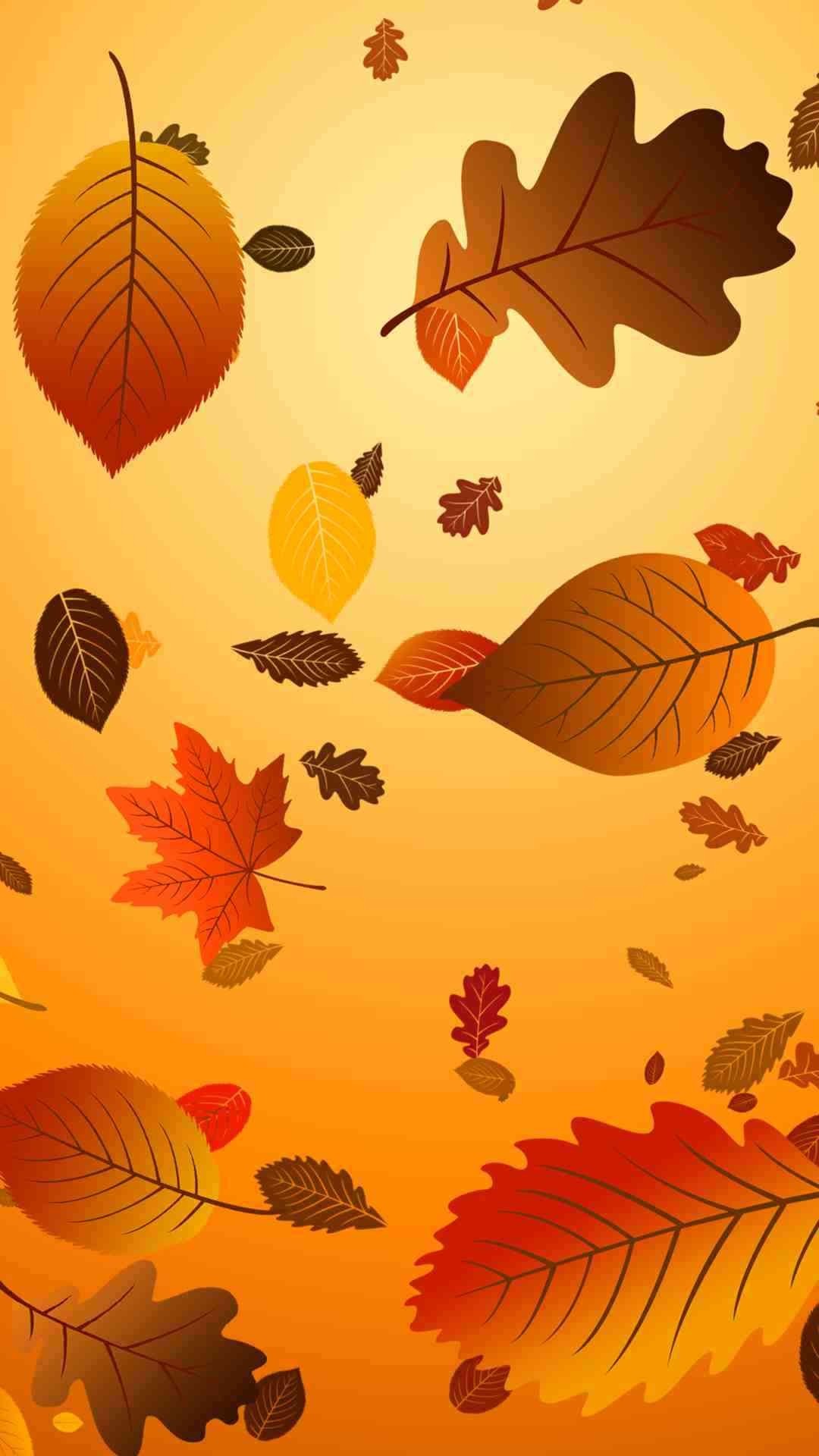 Thanksgiving Backgrounds With Blue Images  Browse 33158 Stock Photos  Vectors and Video  Adobe Stock