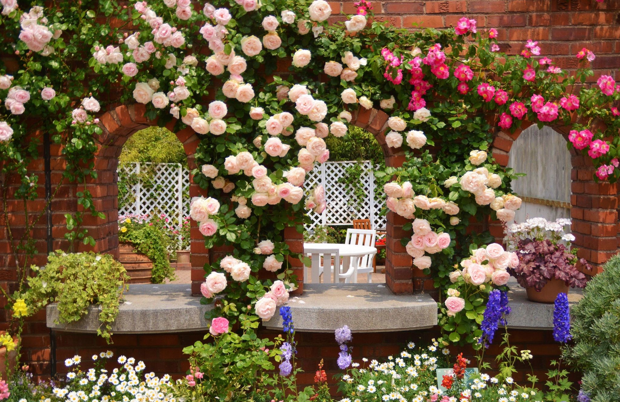 Rose Garden Wallpaper (51+ pictures)