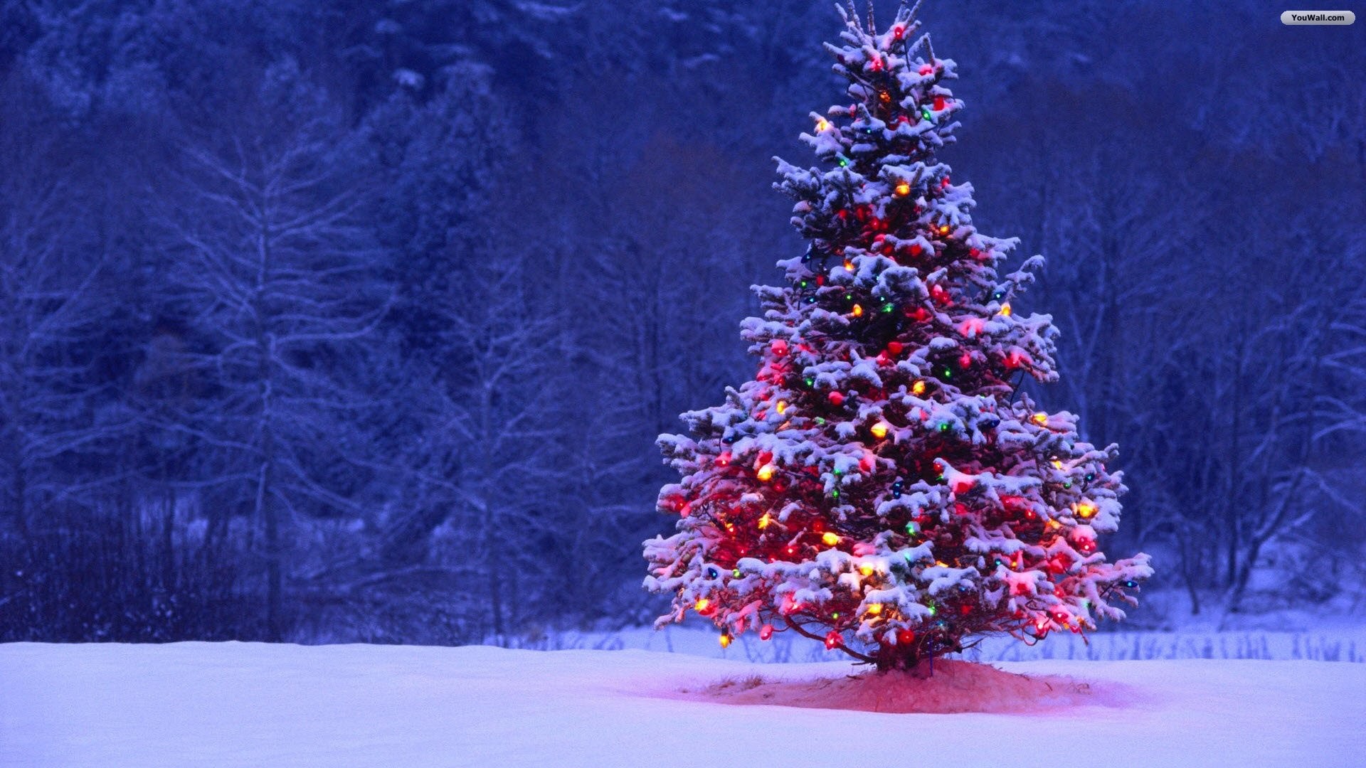 Hãy tận hưởng không gian Giáng Sinh ấm áp với những hình nền tuyệt đẹp và đầy ma mị trên màn hình điện thoại của mình.