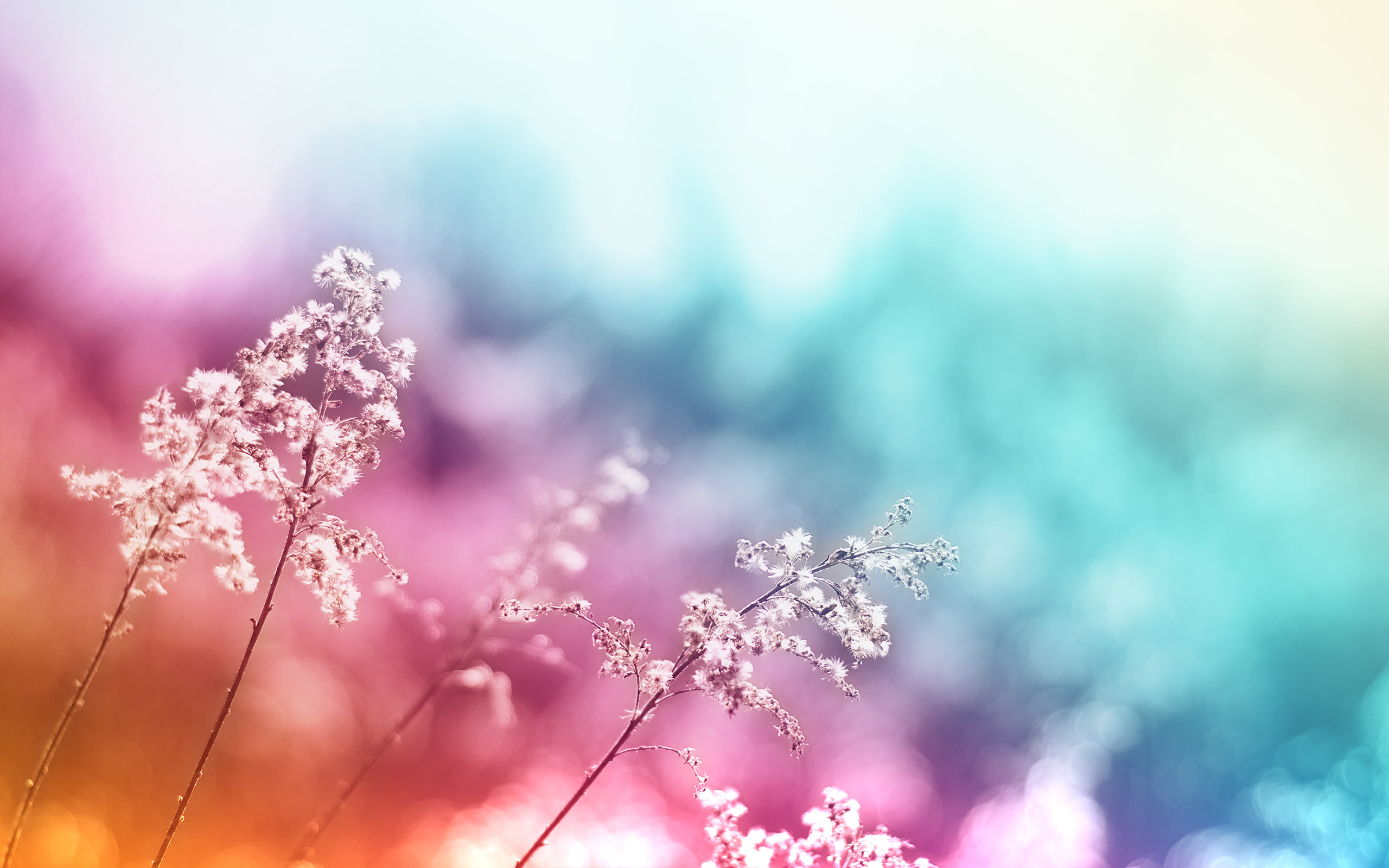 Wallpaper Nature 1 ... 2560x1600