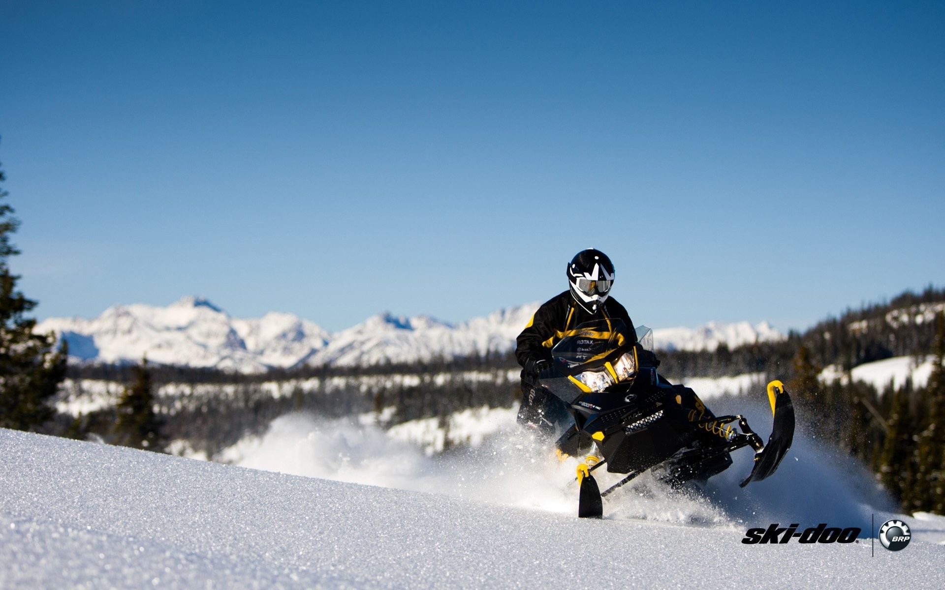 ski-doo skidoo renegade adrenaline snowmobile snowmobiles brp snow snow  forest sports sport 1920x1200