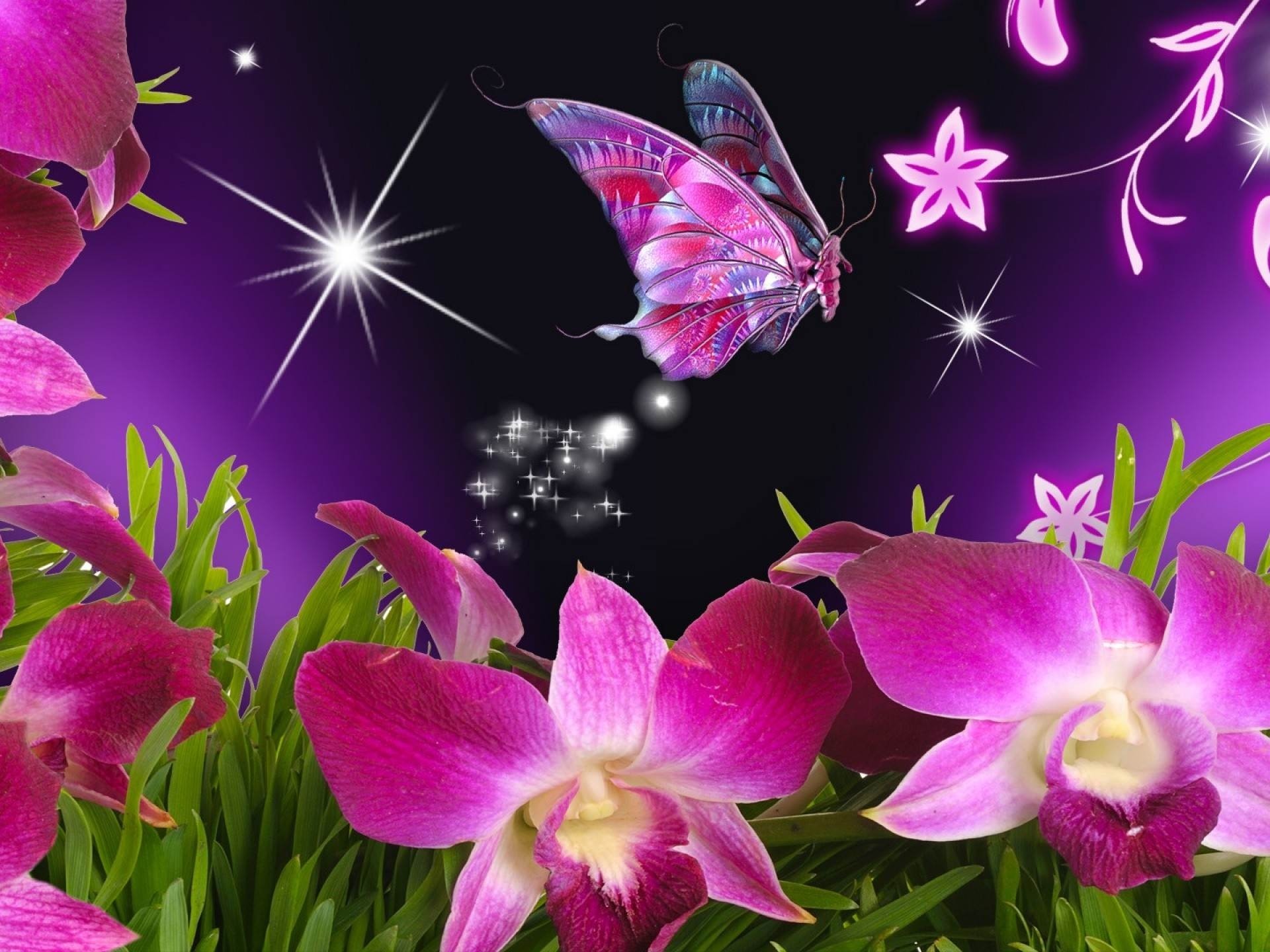 Wallpapers Backgrounds - Barbie Pink Desktop Background Wallpapers Genuardis 1920x1440