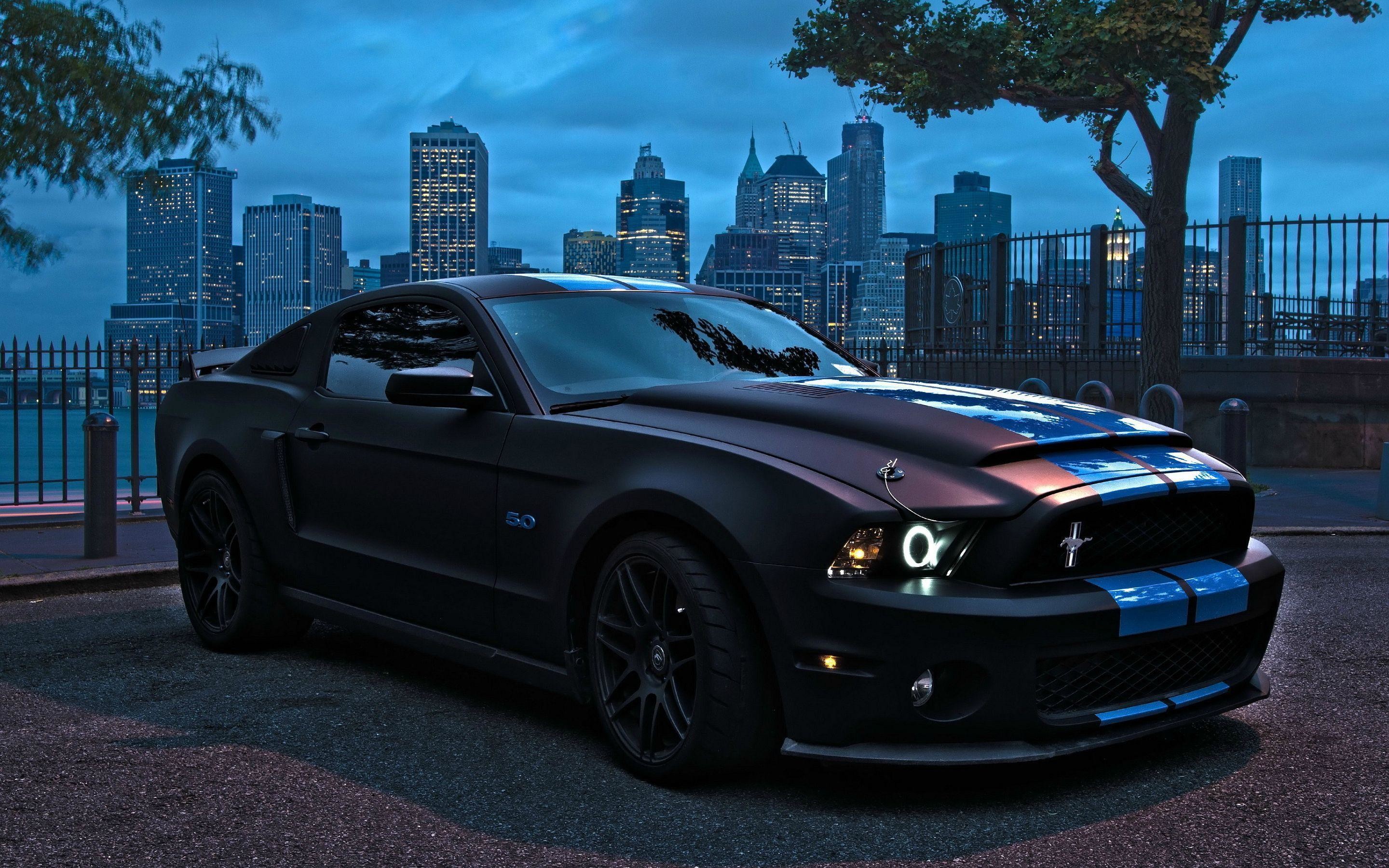 Ford Mustang Shelby Wallpaper Hd