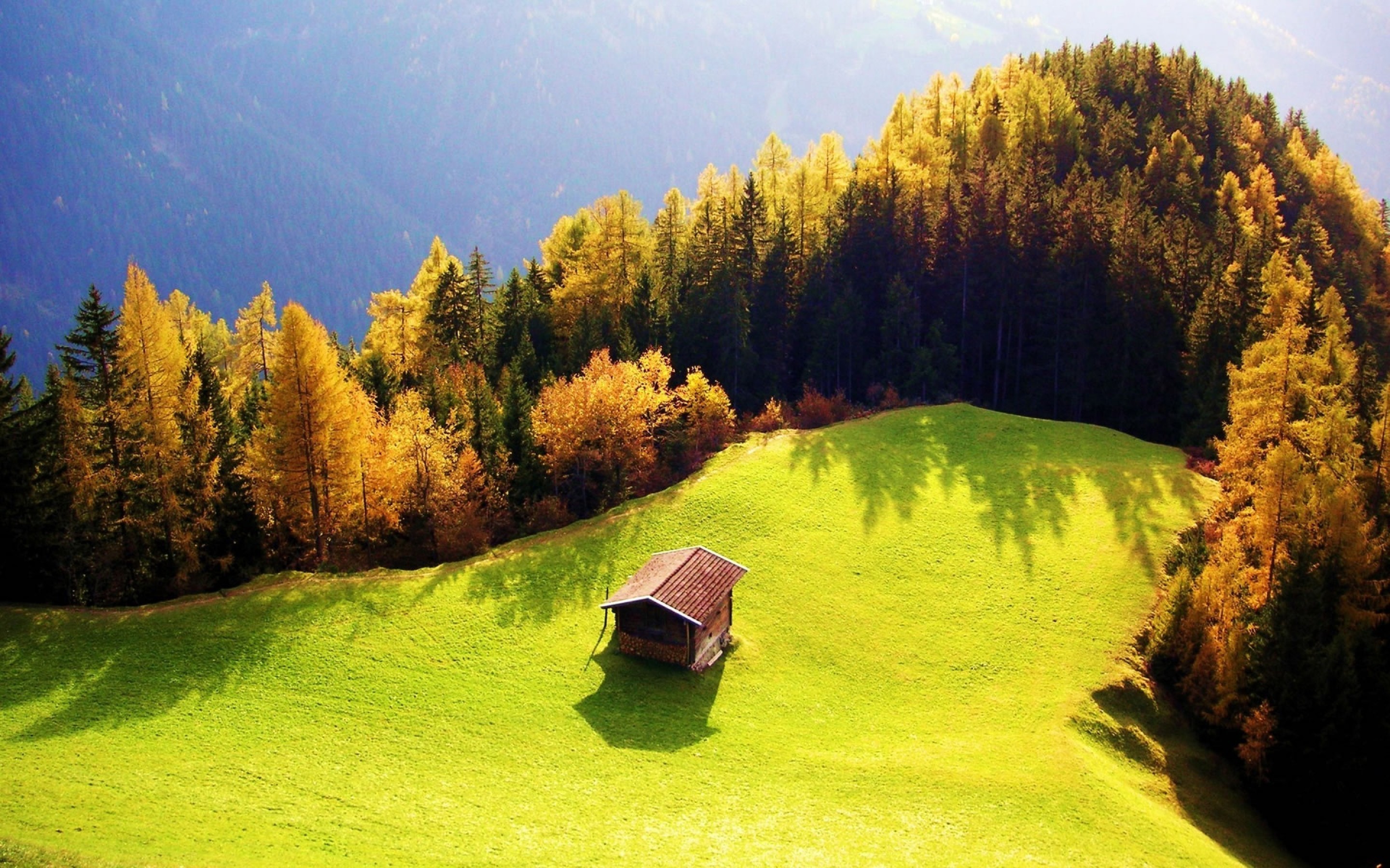 Best Nature Wallpaper 54 Pictures WallpaperSet Best Nature Wallpaper 54 Pictures WallpaperSet