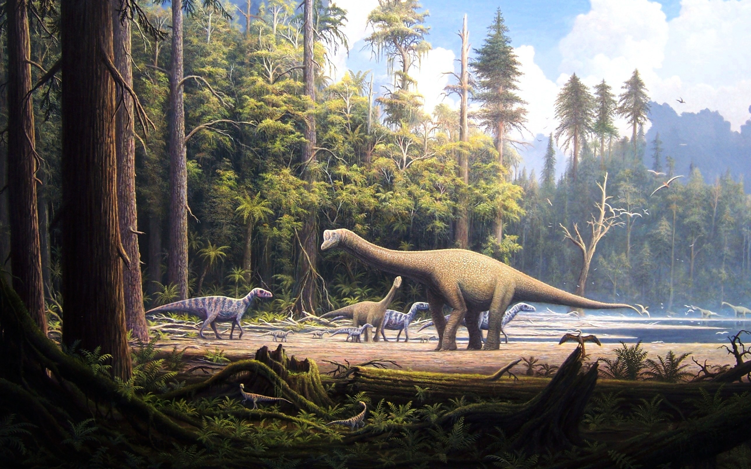 Free Desktop Dinosaur Wallpaper  Answers in Genesis