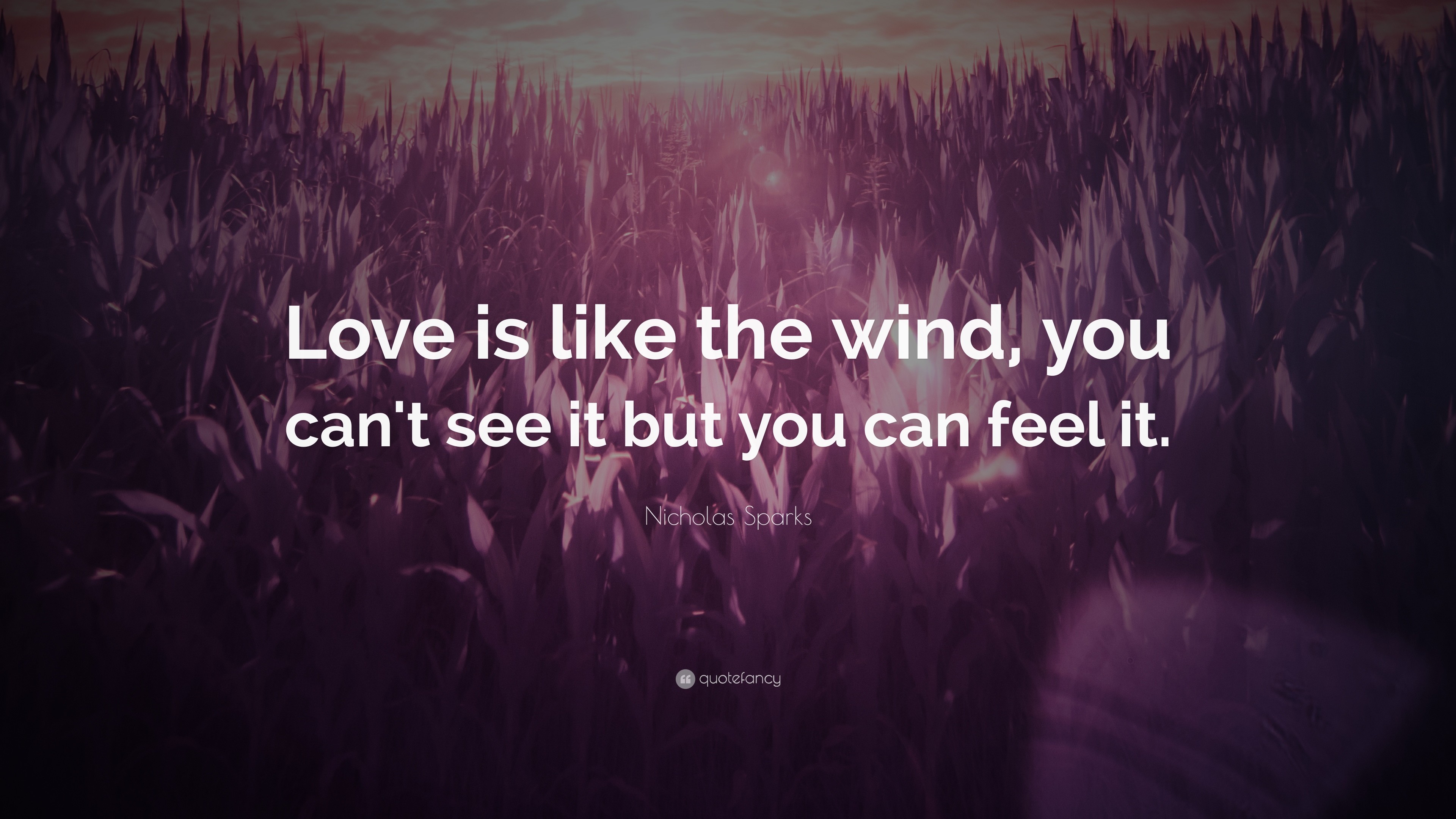 Love Quotes: "Love is like the wind, you can't see it 3840x2160.