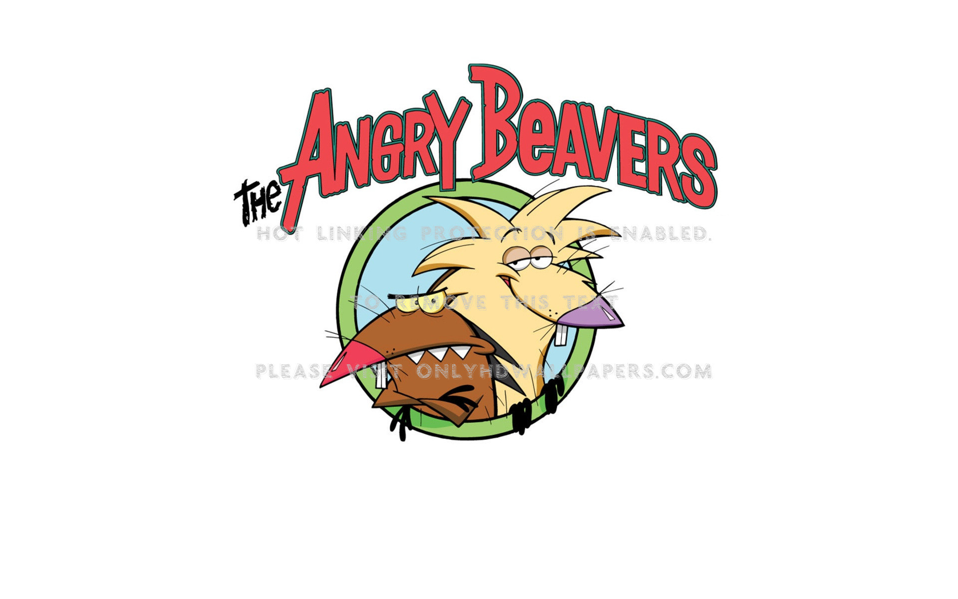 Эй бобры. Крутые бобры Норберт и Деггет. Angry beavers Норберт. Злюки бобры.