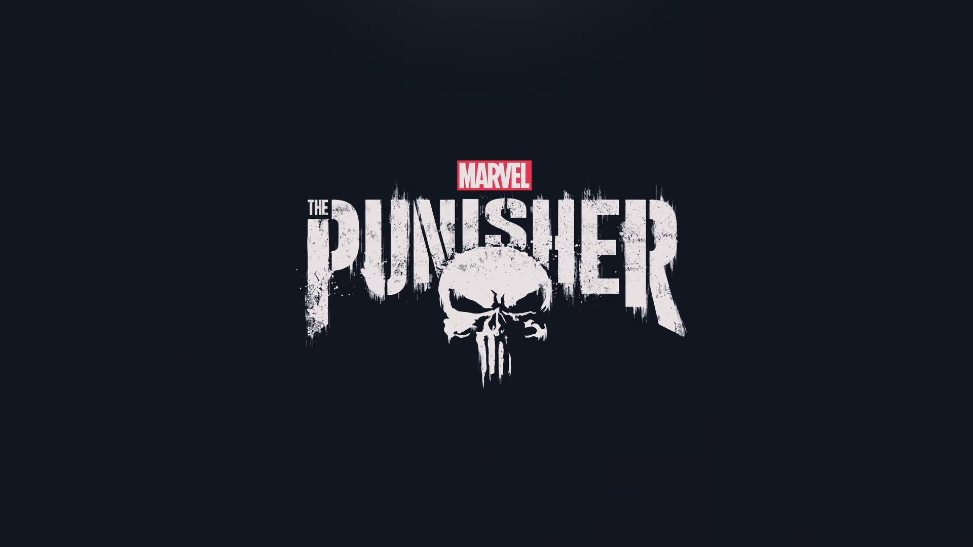 The Punisher - Wallpaper wallpaper, 1600x900, 249584