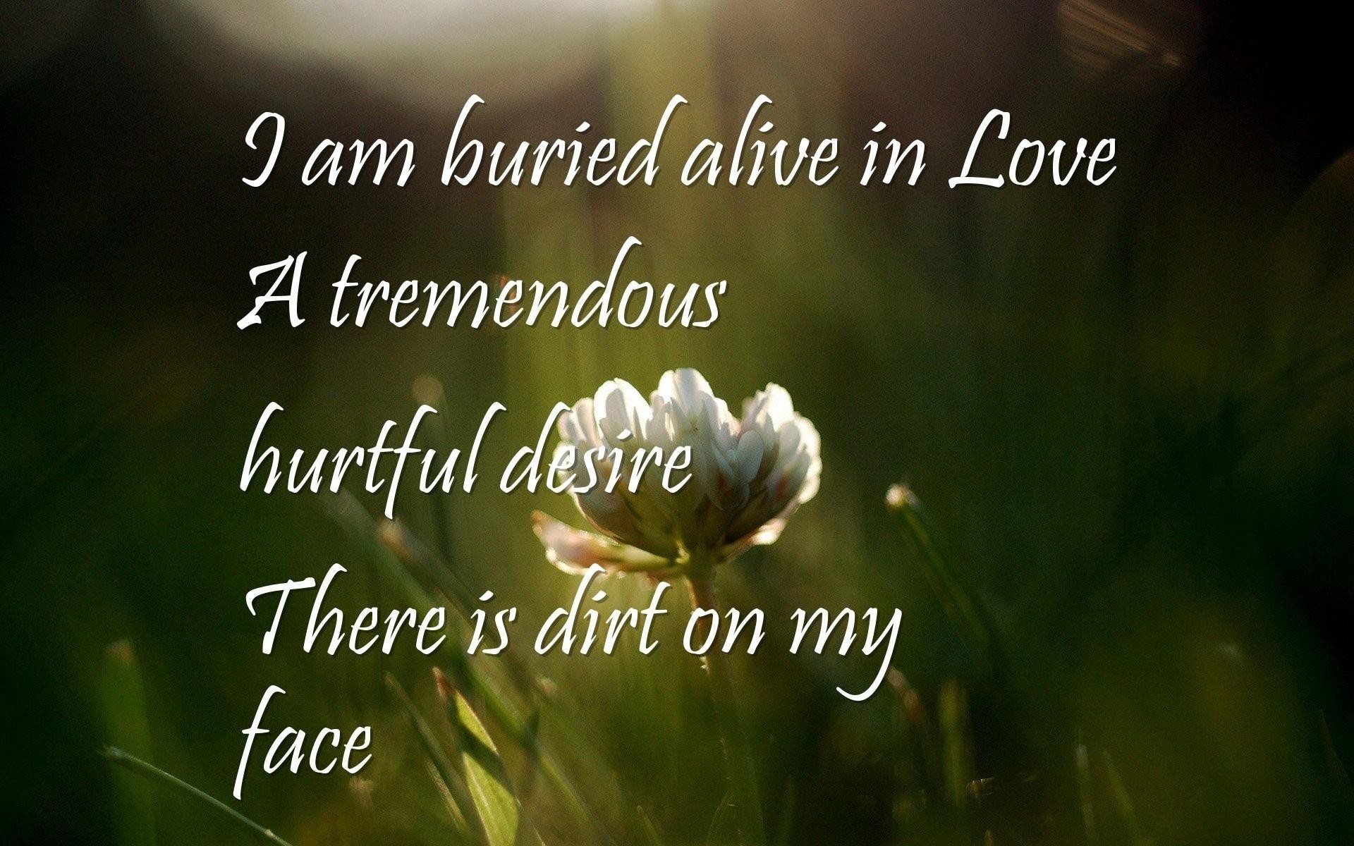 Quotes About True Love Hurts Where To Buy Love Hurts True Love 1920x1200