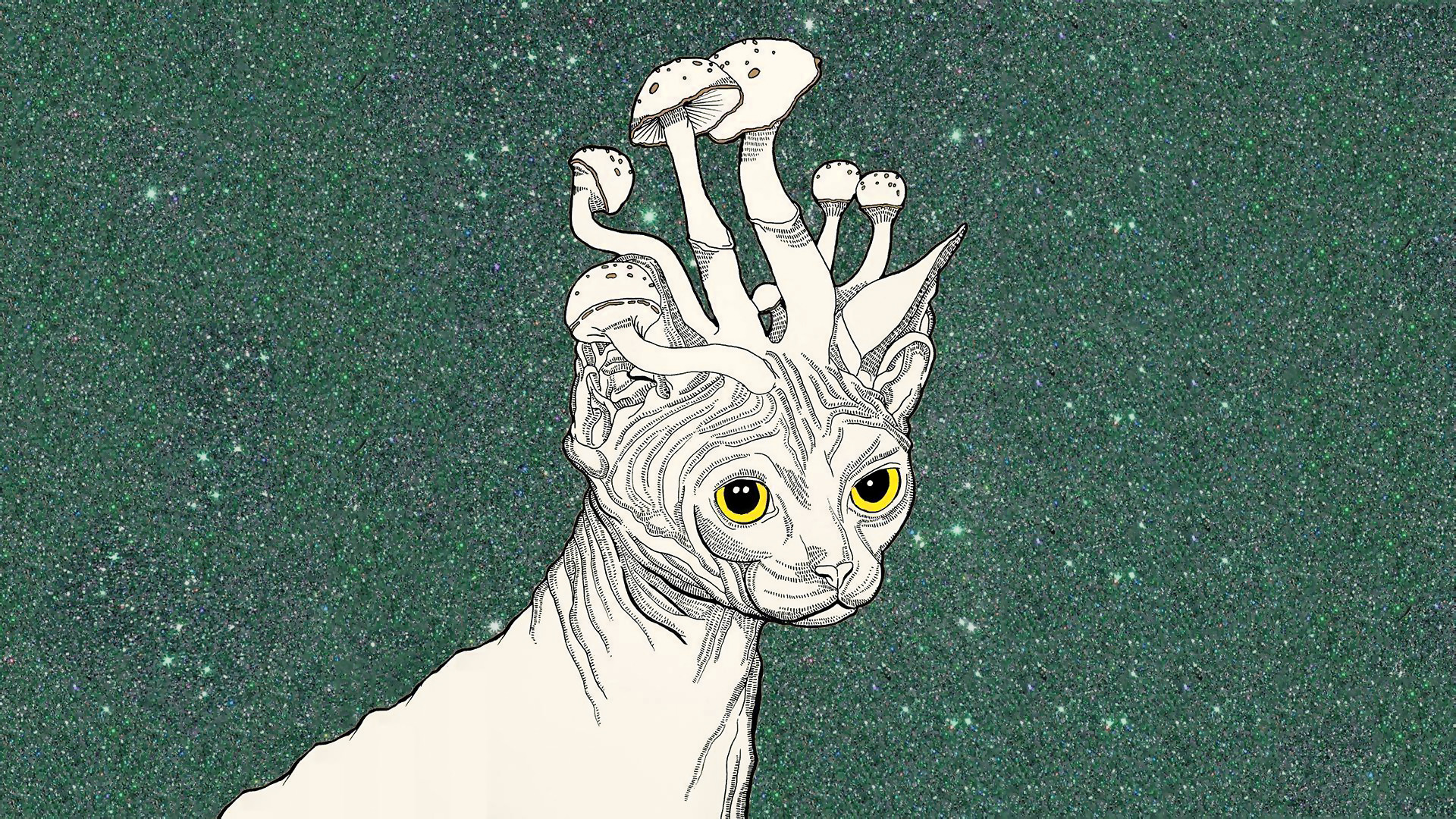 ... 1920x1080 39+ Trippy Wallpaper 1920x1080