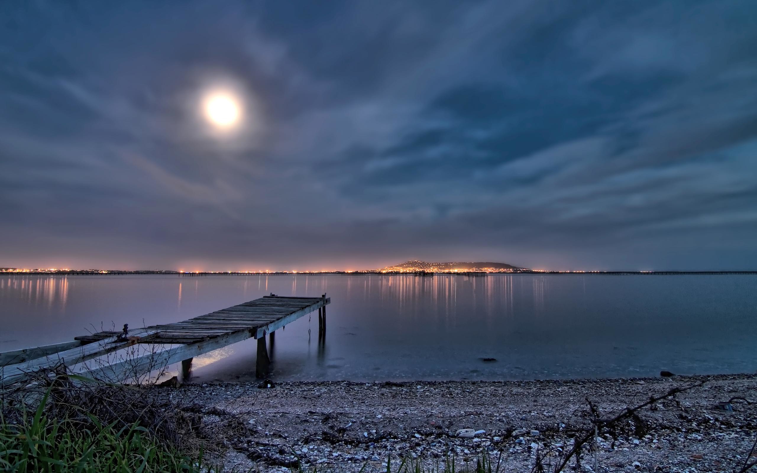 HD Nature Peer HD Background Wallpaper 2560x1600
