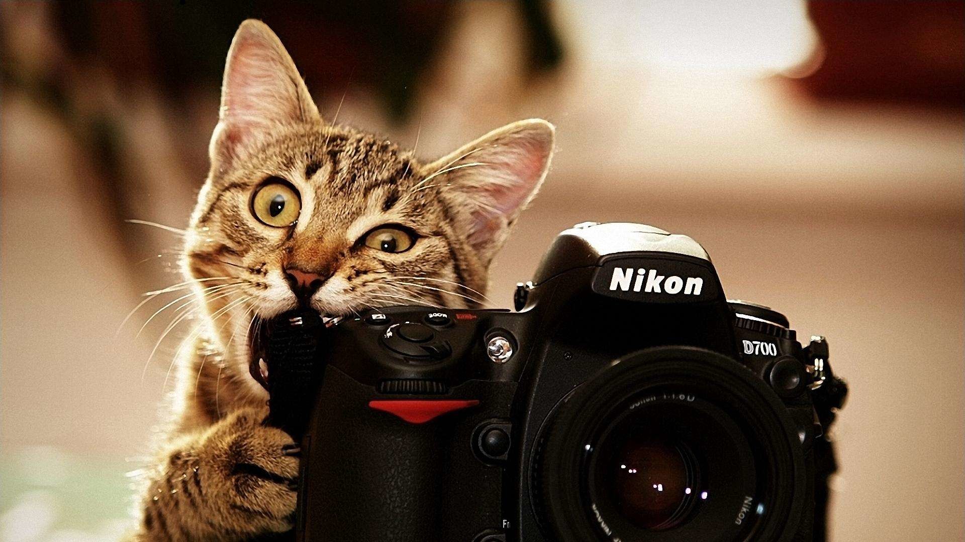 Nikon Camera for Photography HD Wallpapers  HD Wallpapers