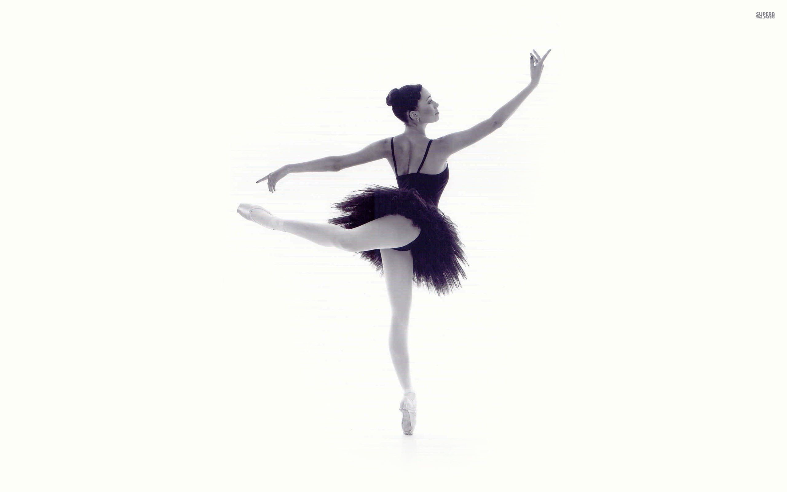 Ballet Photos Download The BEST Free Ballet Stock Photos  HD Images