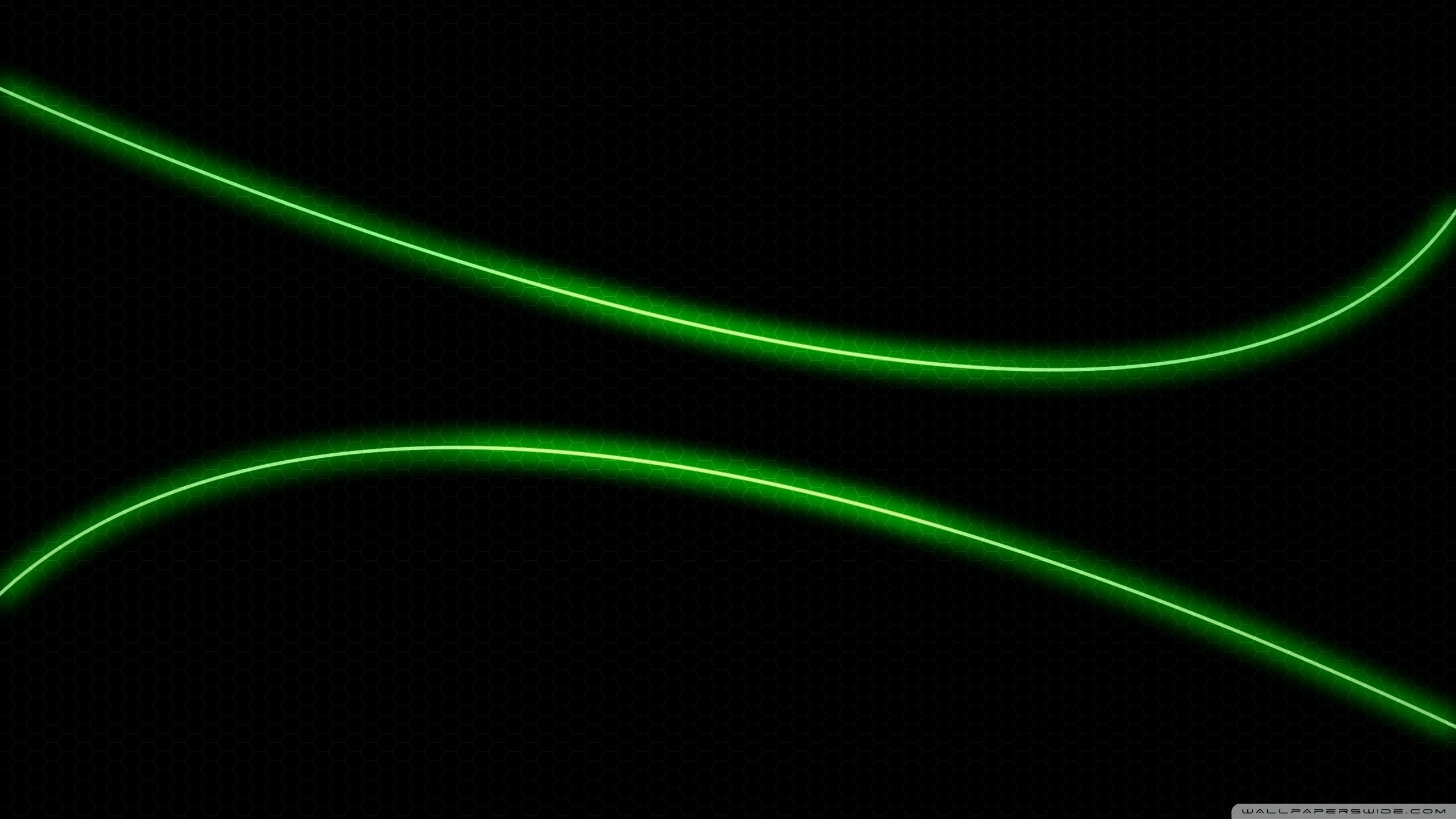 Neon Green Background 60 Pictures