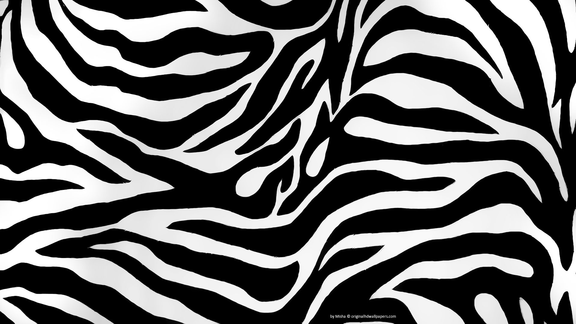 Crepe Paper Made Of Zebra Animal Pattern For Wallpaper Or Backgrounds Stock  Photo  Download Image Now  iStock