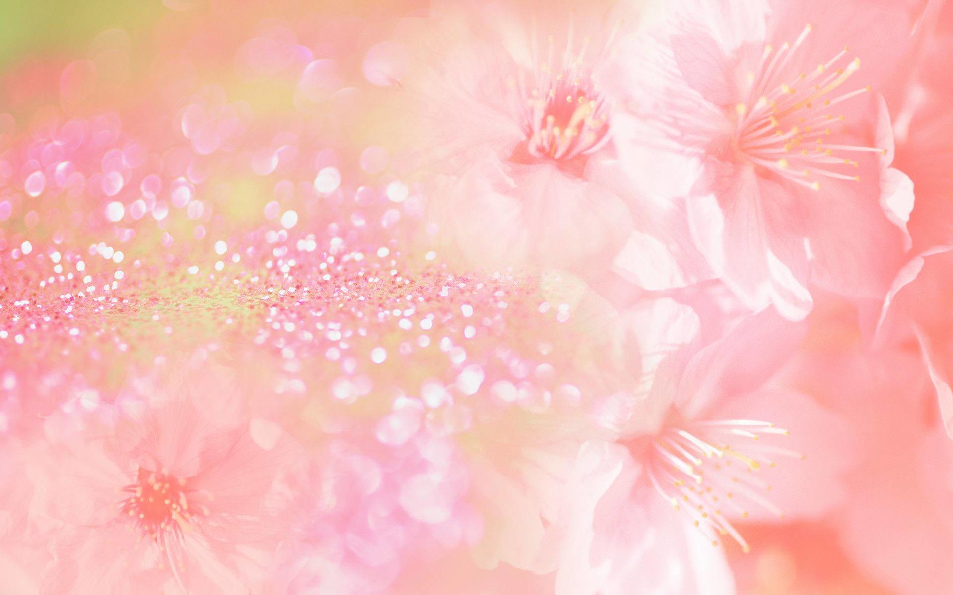 Pink Flower Background (53+ pictures)