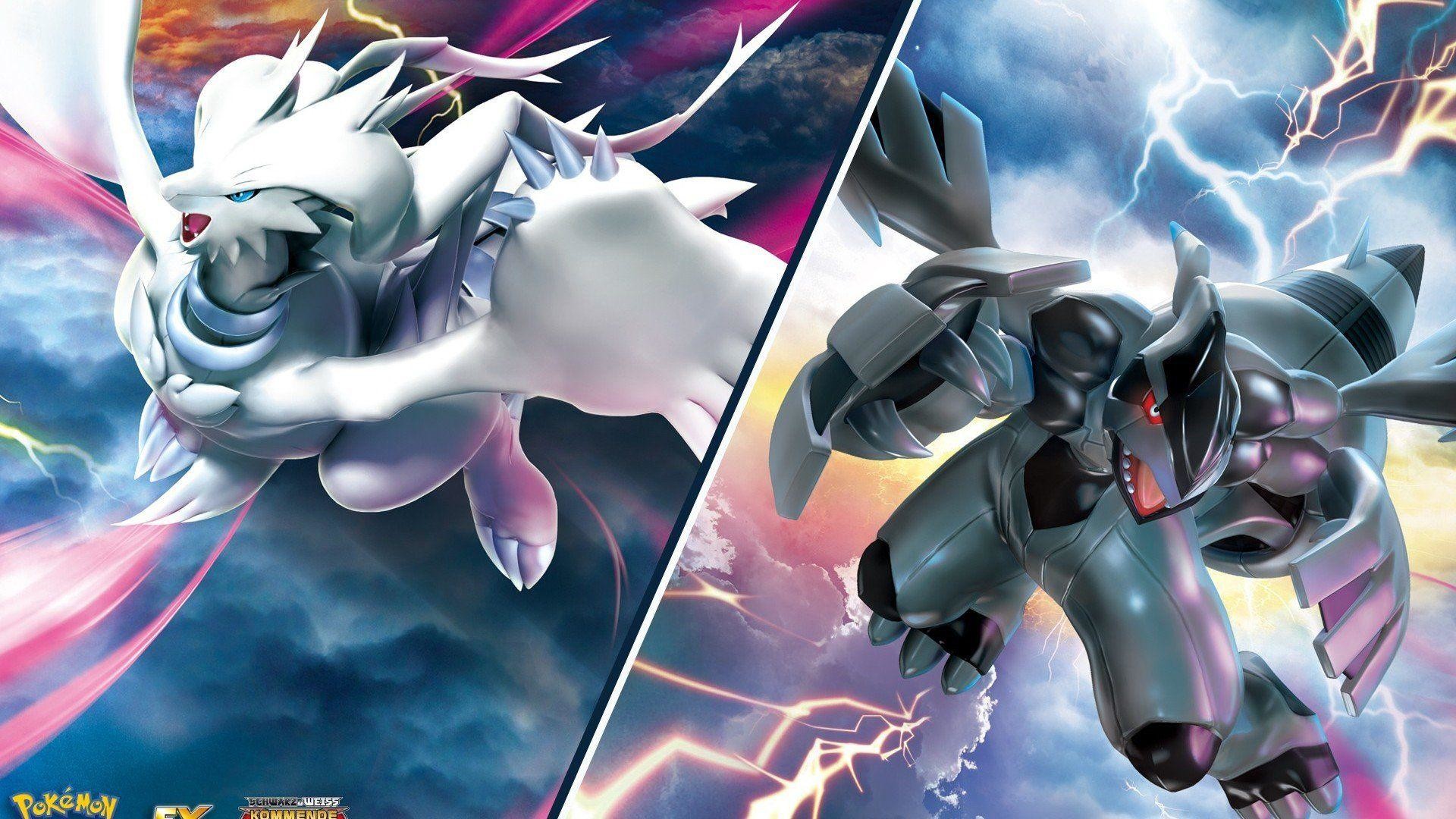 Zekrom vs Reshiram