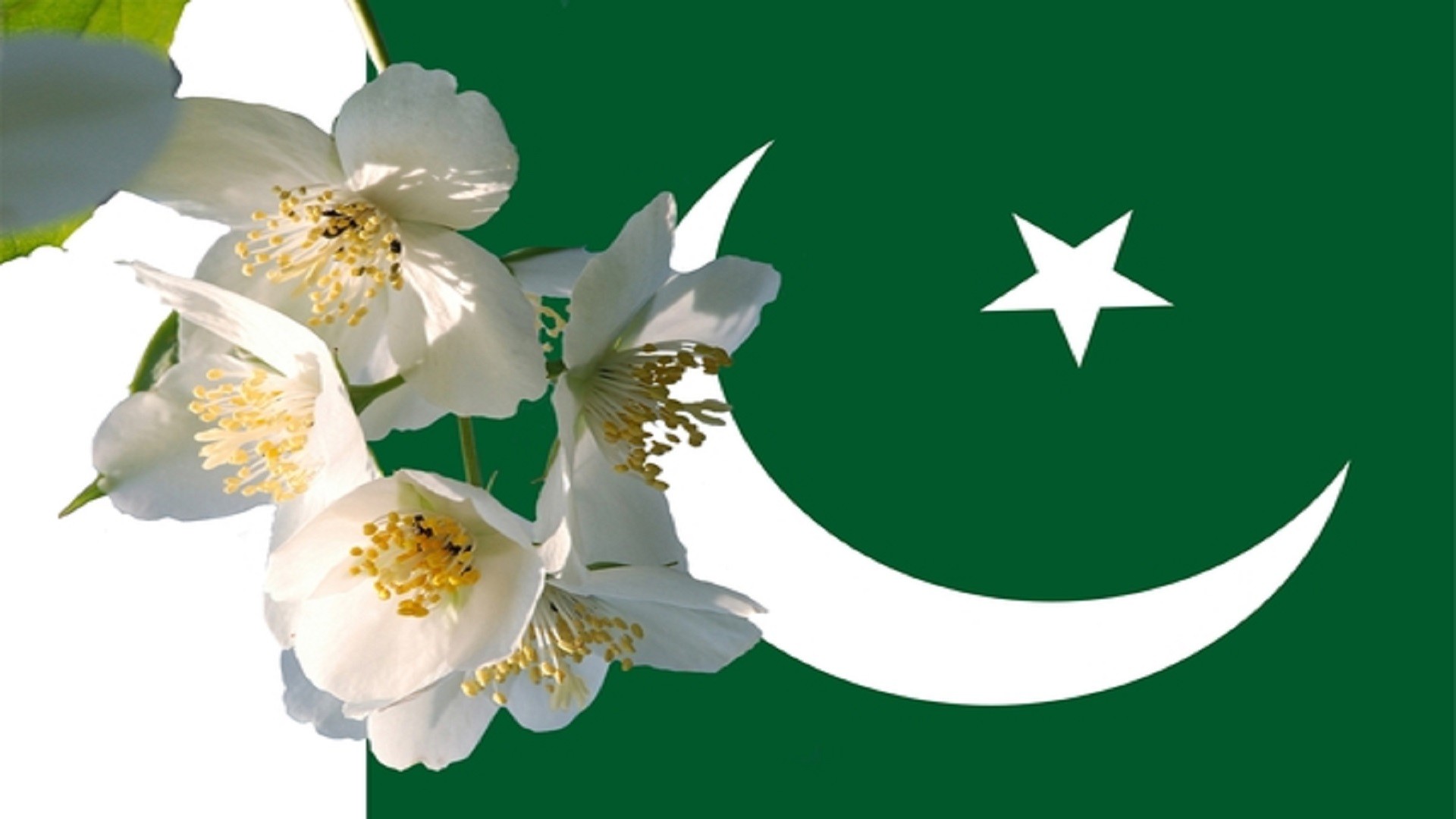 Pakistan Flag Live Wallpaper  Apps on Google Play