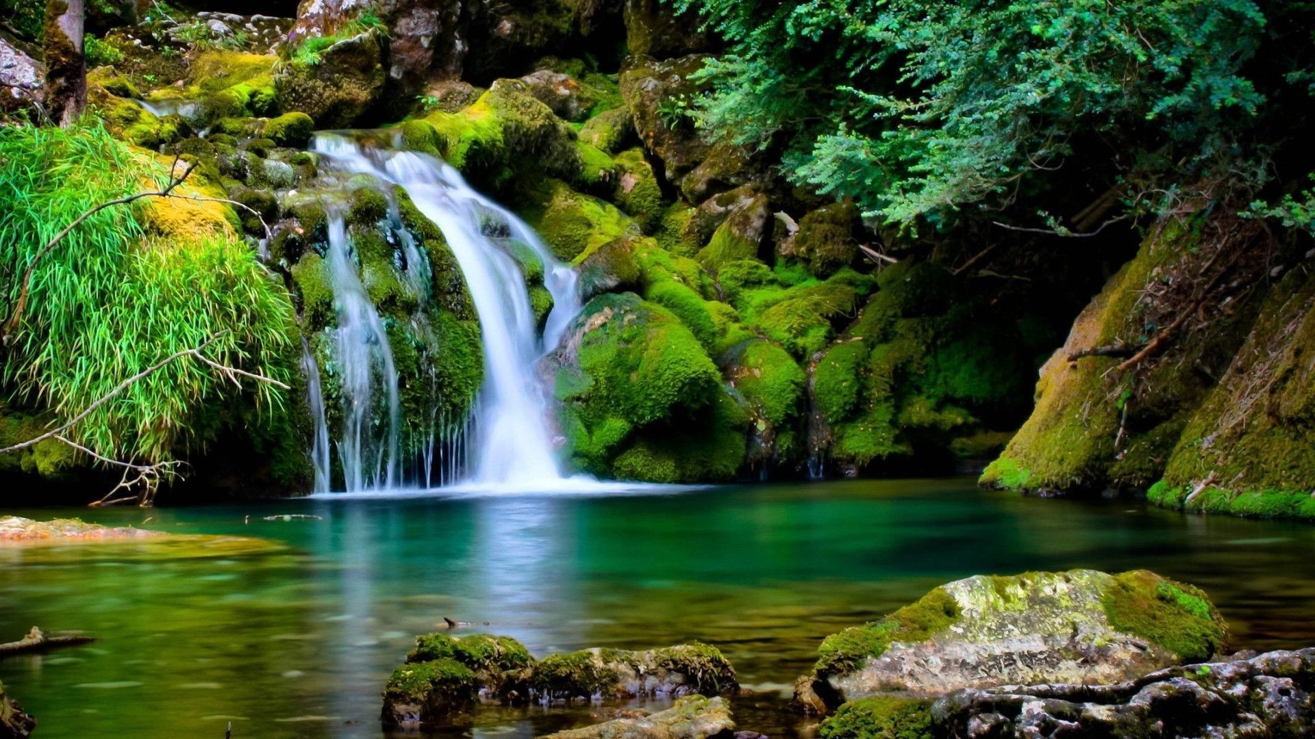 Nature Wallpaper 1600x900 (72+ pictures)