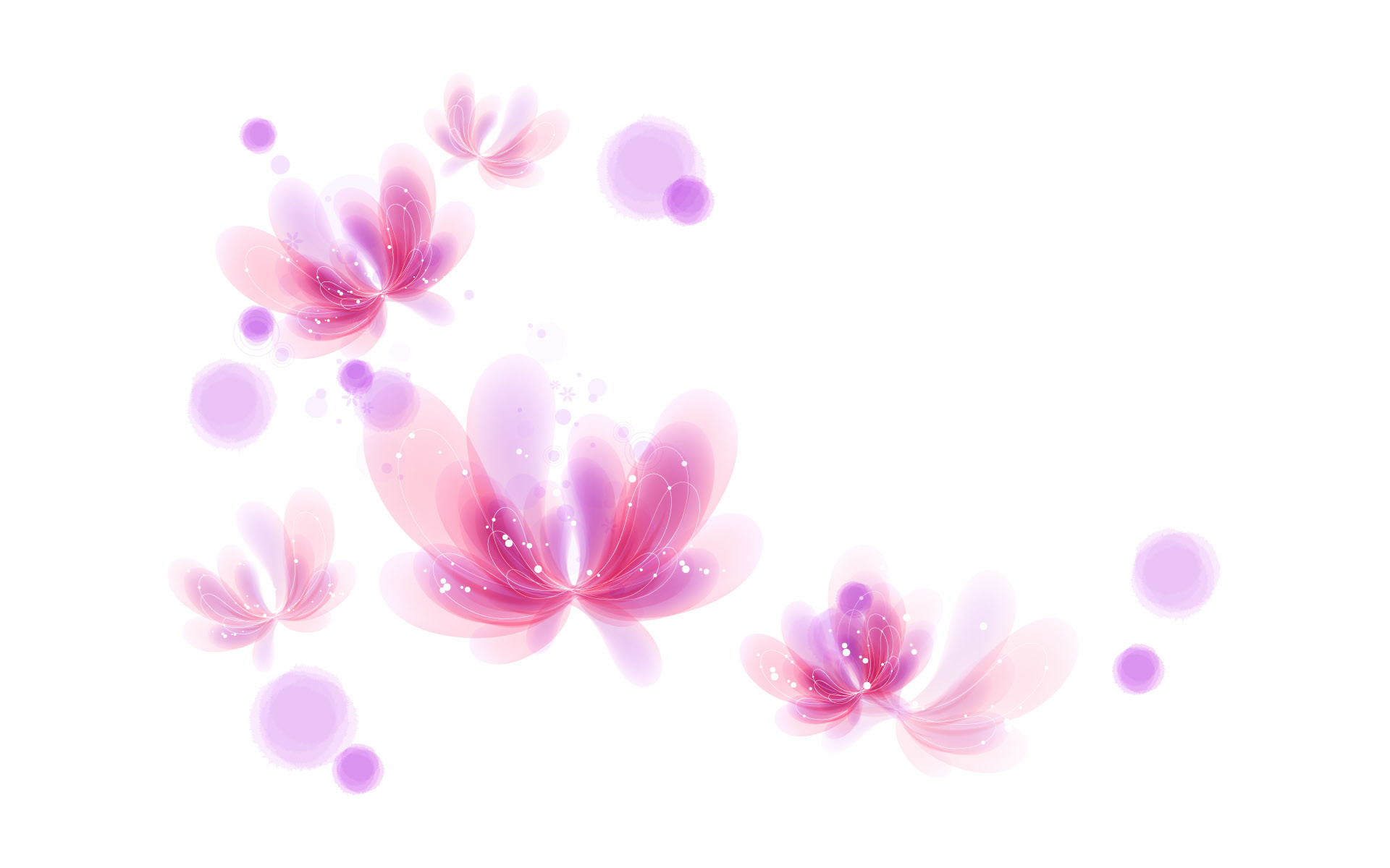 Wallpapers For Pink And White Butterfly Background 1920x1200