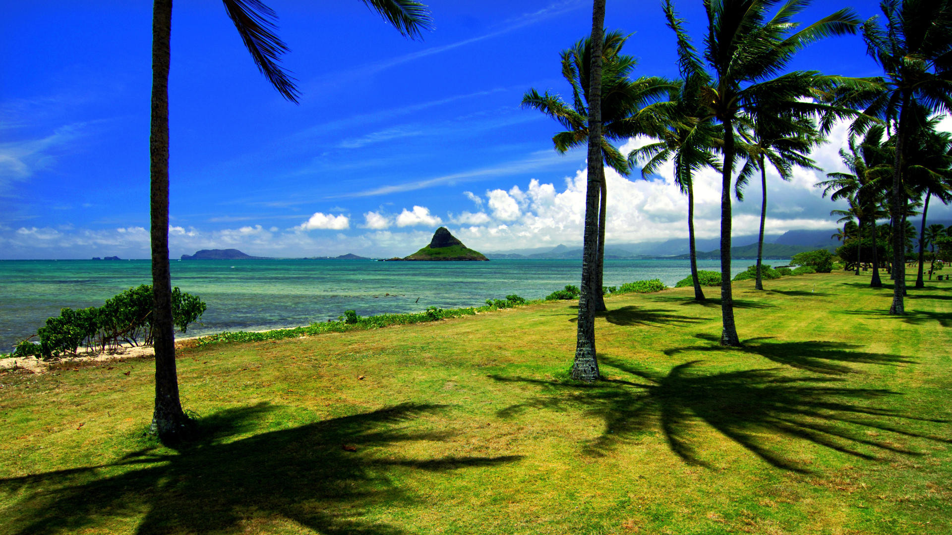 hawaiian wallpaper 48 pictures
