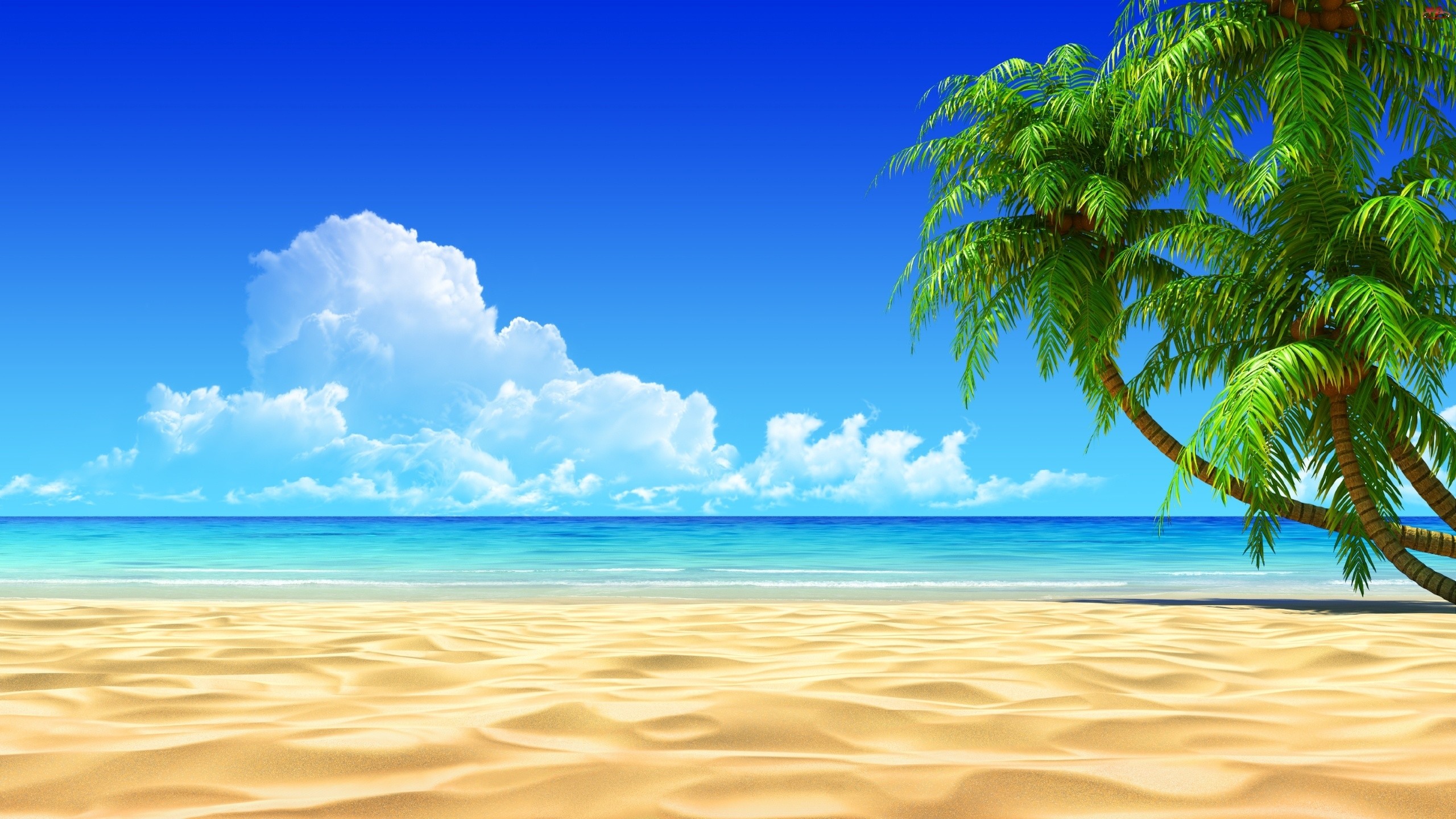 hd beach wallpapers 63 pictures hd beach wallpapers 63 pictures