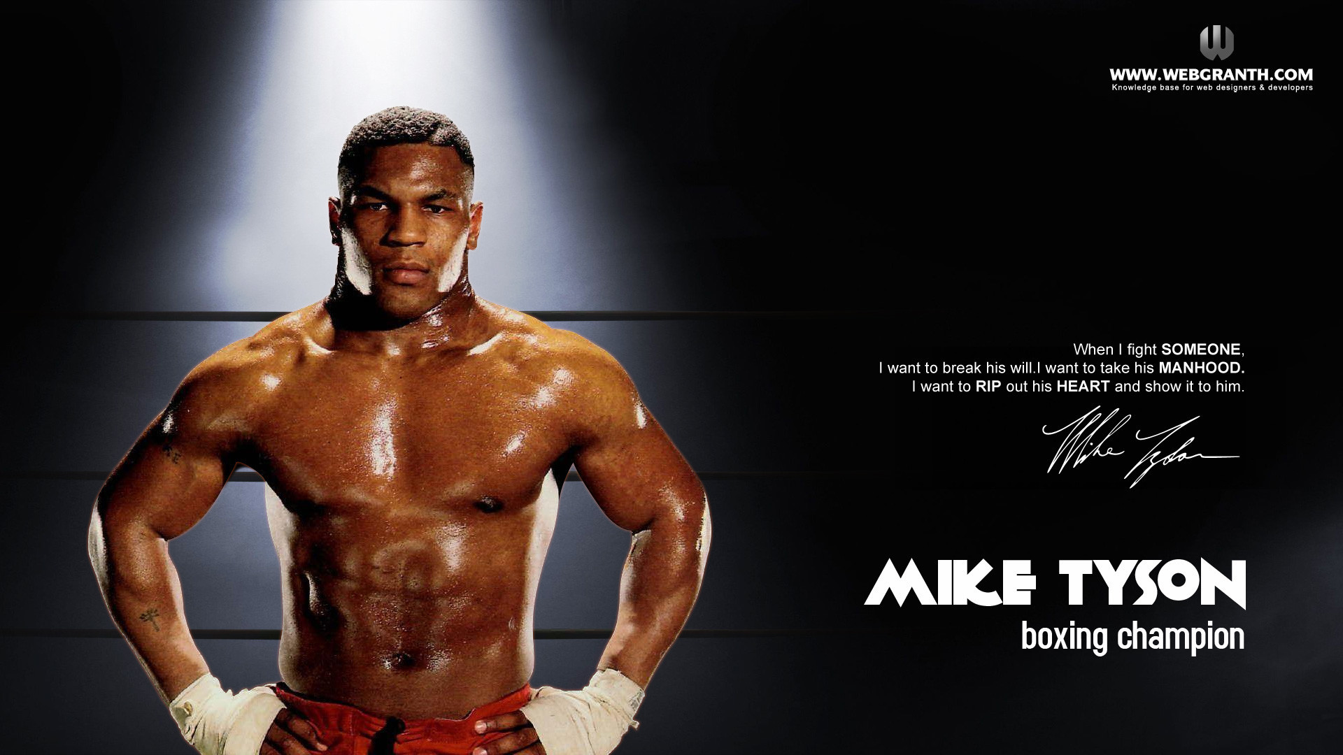 Mike Tyson Wallpaper (74+ pictures)