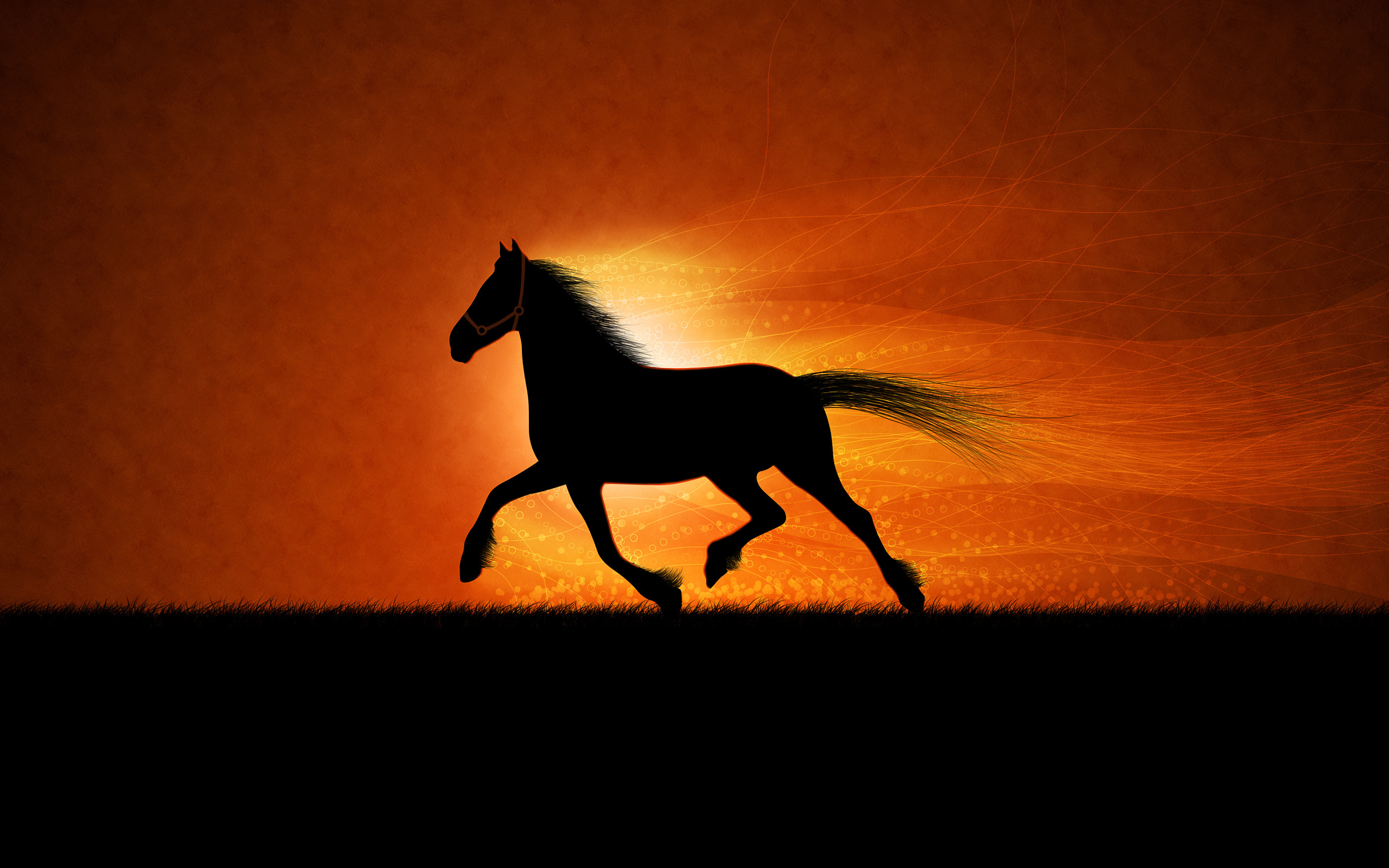 7 Horse Running Images Hd Wallpaper Download