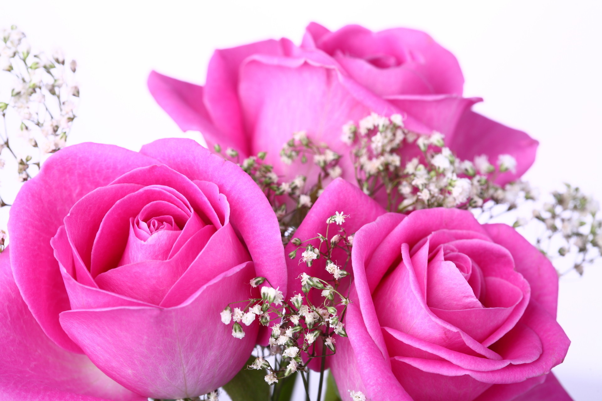 Rose Pink Background (35+ pictures)