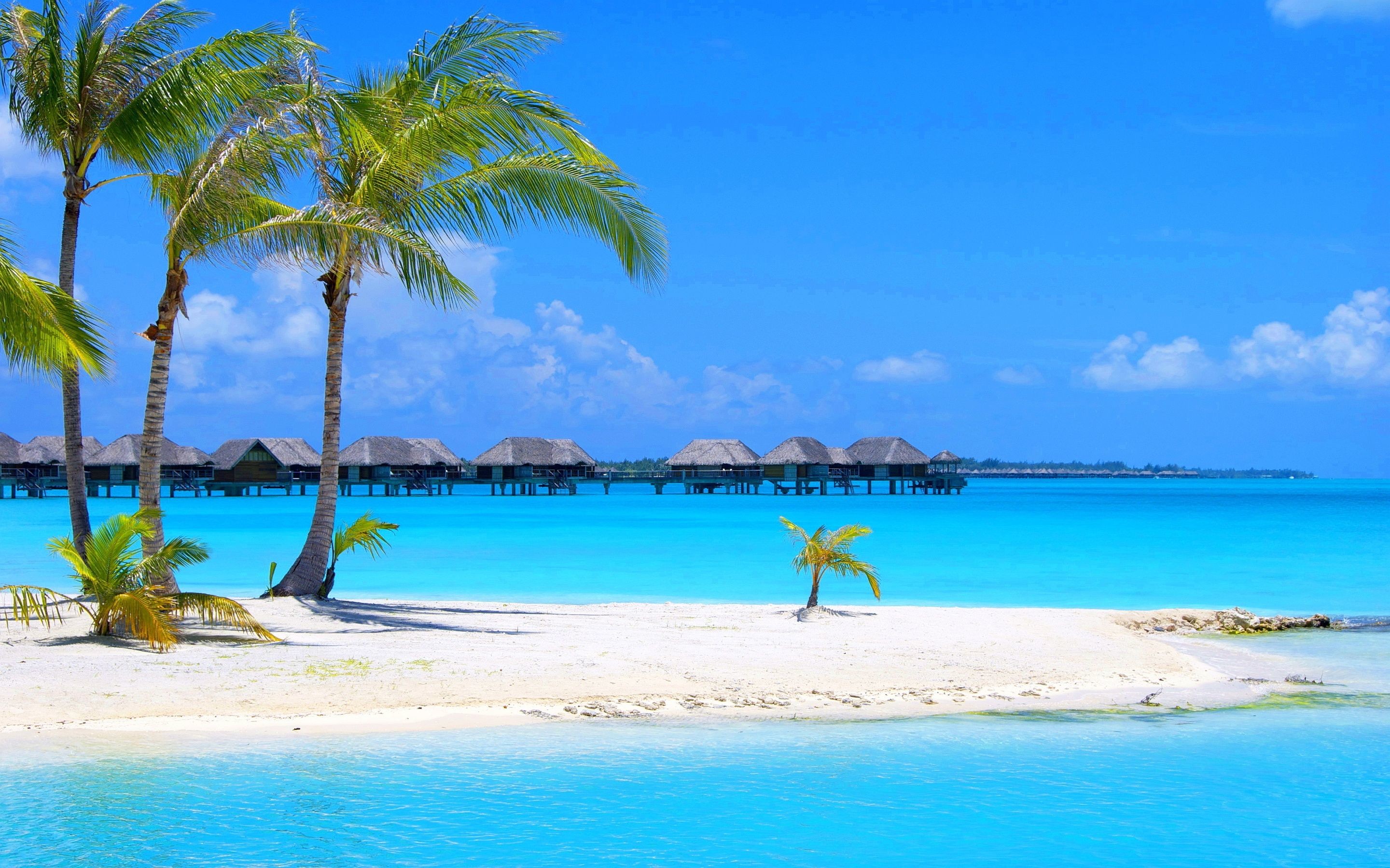 Beautiful Beach Wallpaper APK for Android Download