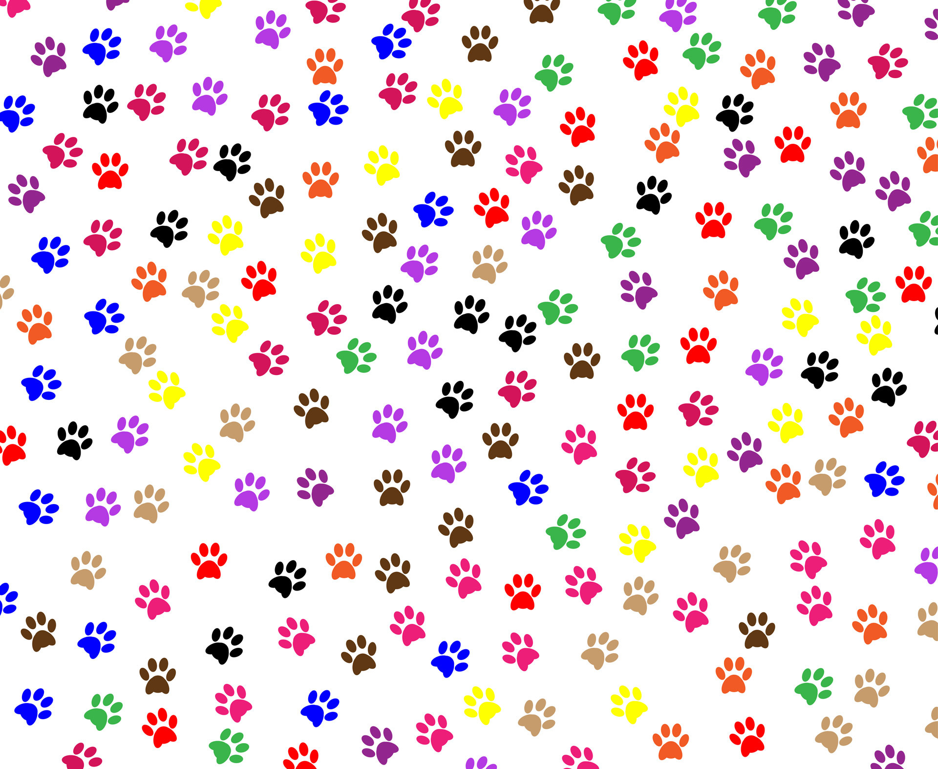 Paw Print Wallpaper (38+ pictures)