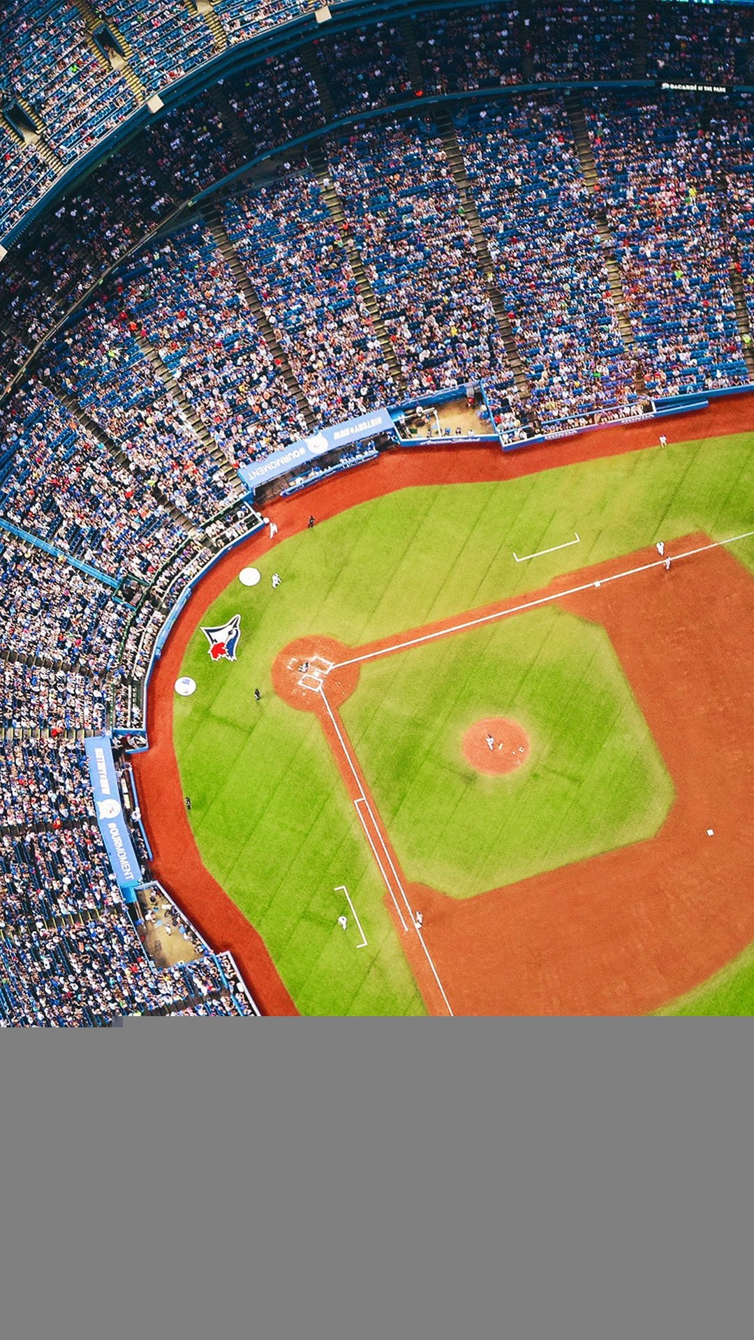 Bluejays Baseball MLB Field Sports iPhone 8 wallpaper 1080x1920