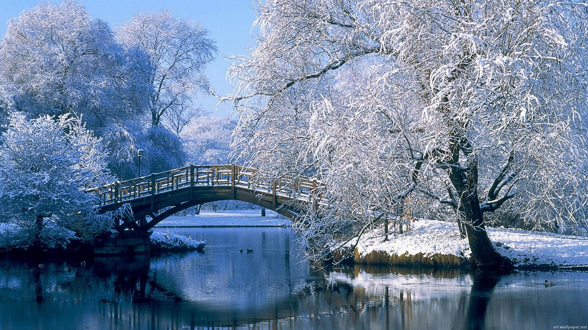 Computer-desktop-backgrounds-hd-Zem-Is-The-Best- 1920x1080