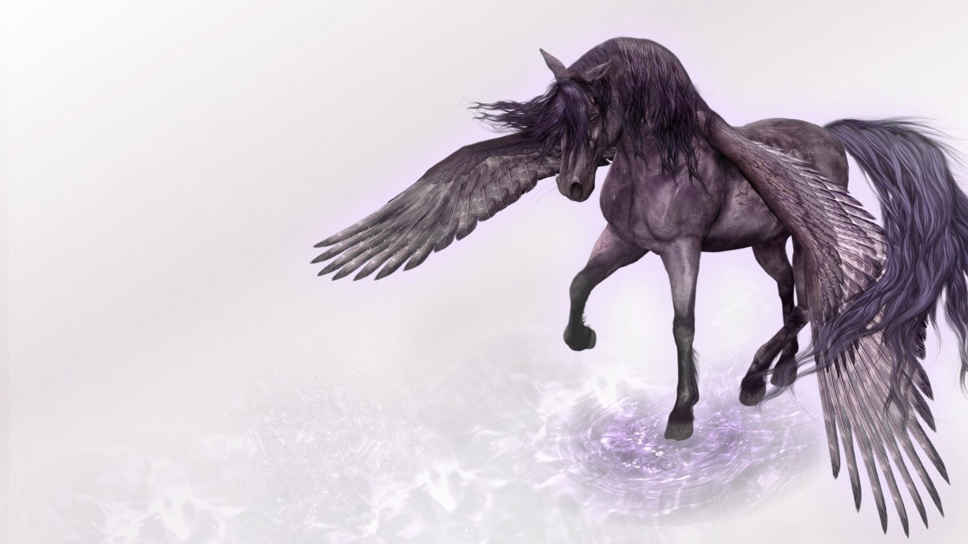 Preview wallpaper pegasus, horse, wings, water 1920x1080 1920x1080