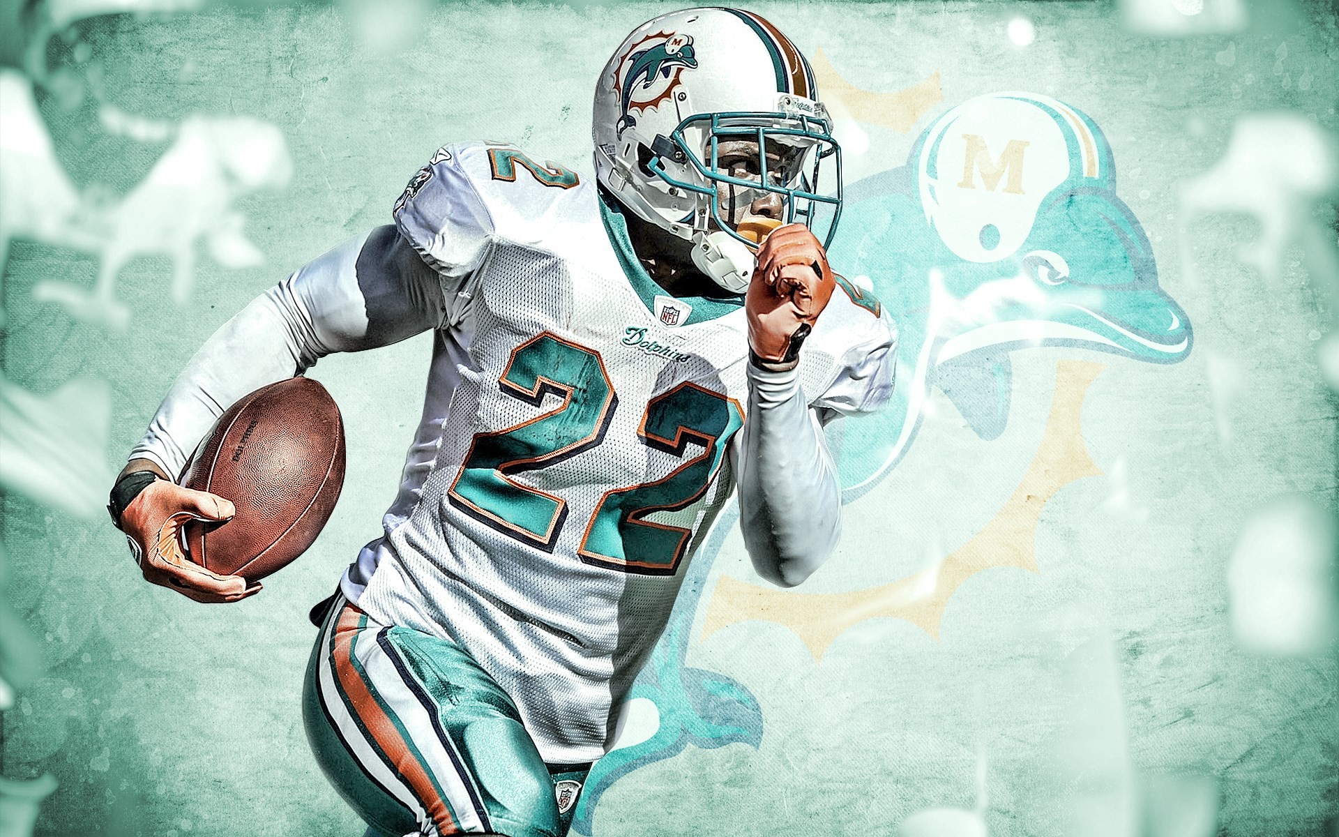 46 NFL Miami Dolphins Wallpaper  WallpaperSafari